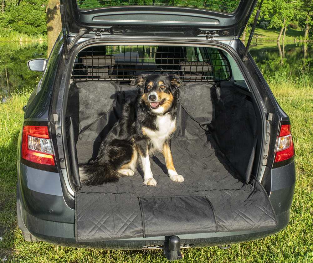 Road Star Ochranný autopotah do kufru pro psa 180 x 100 cm
